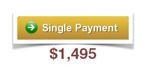 single-payment-beginner-1495